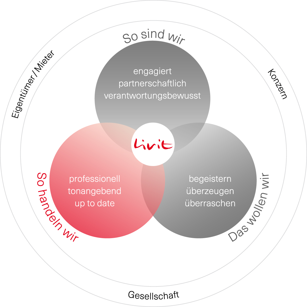 Livit-Wertemodell-DE