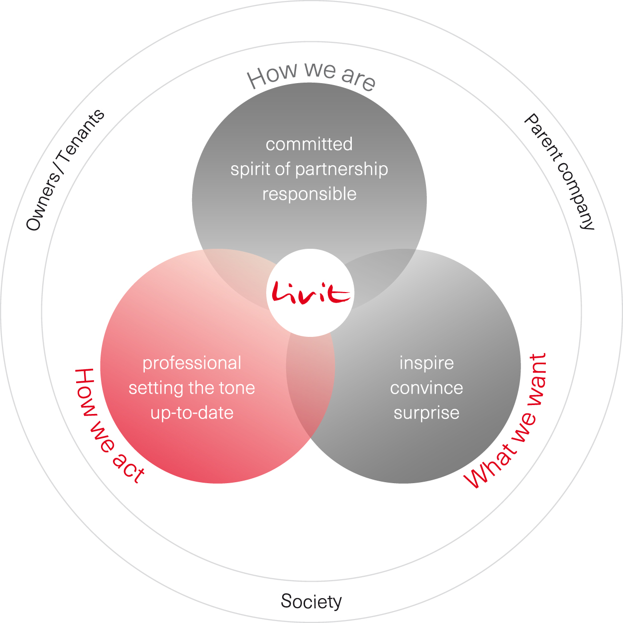 Livit-Wertemodell-EN