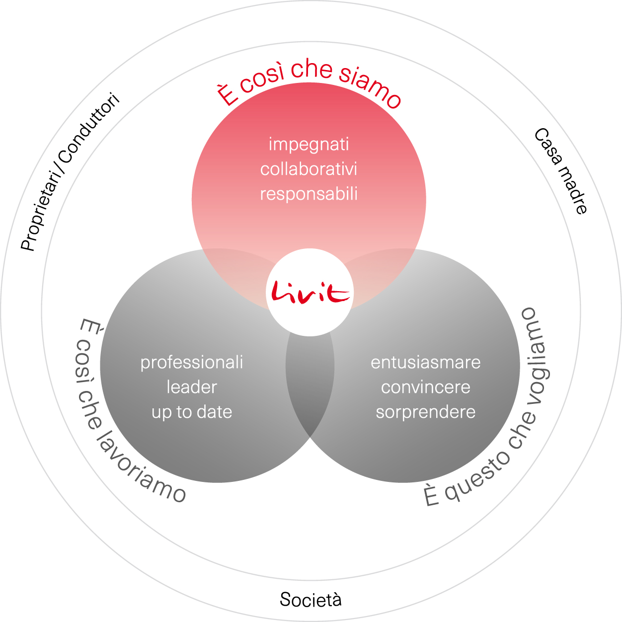 Livit-Wertemodell-IT