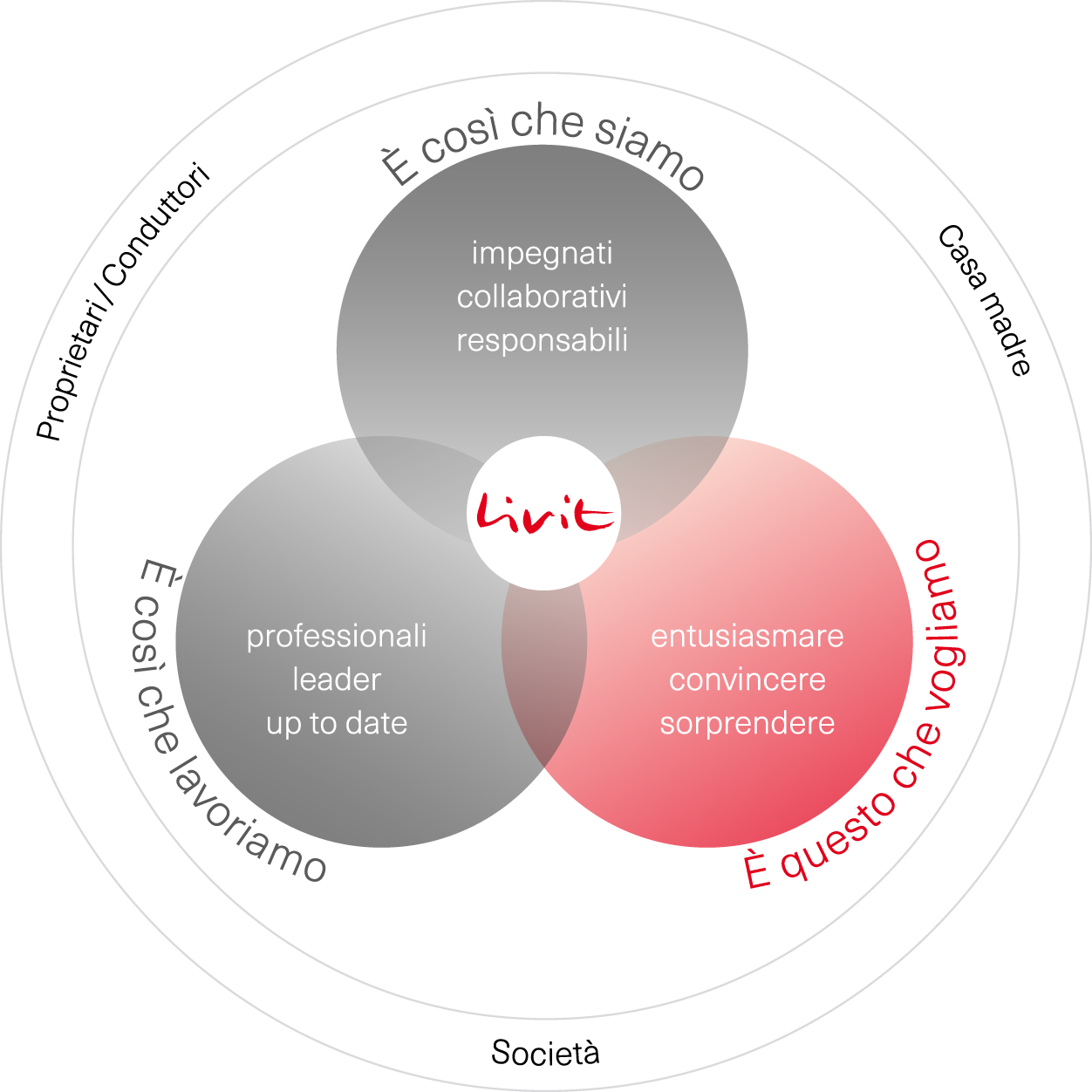 Livit-Wertemodell-IT