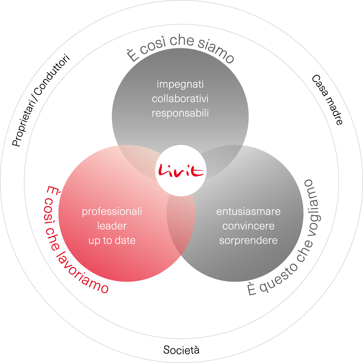 Livit-Wertemodell-IT