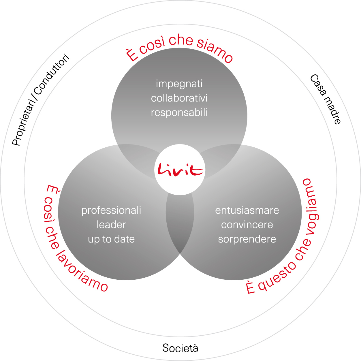 Livit-Werdemodell-IT